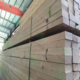 通用進(jìn)口建筑木方價格解析與銷售指南